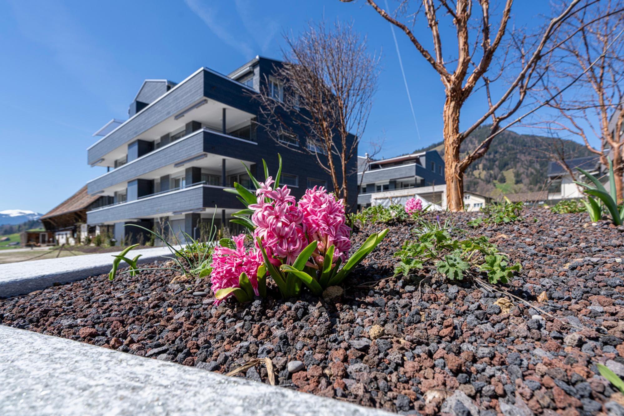 Neubau-Wohntraum im Eigentumsstandard in parkähnlicher Umgebung