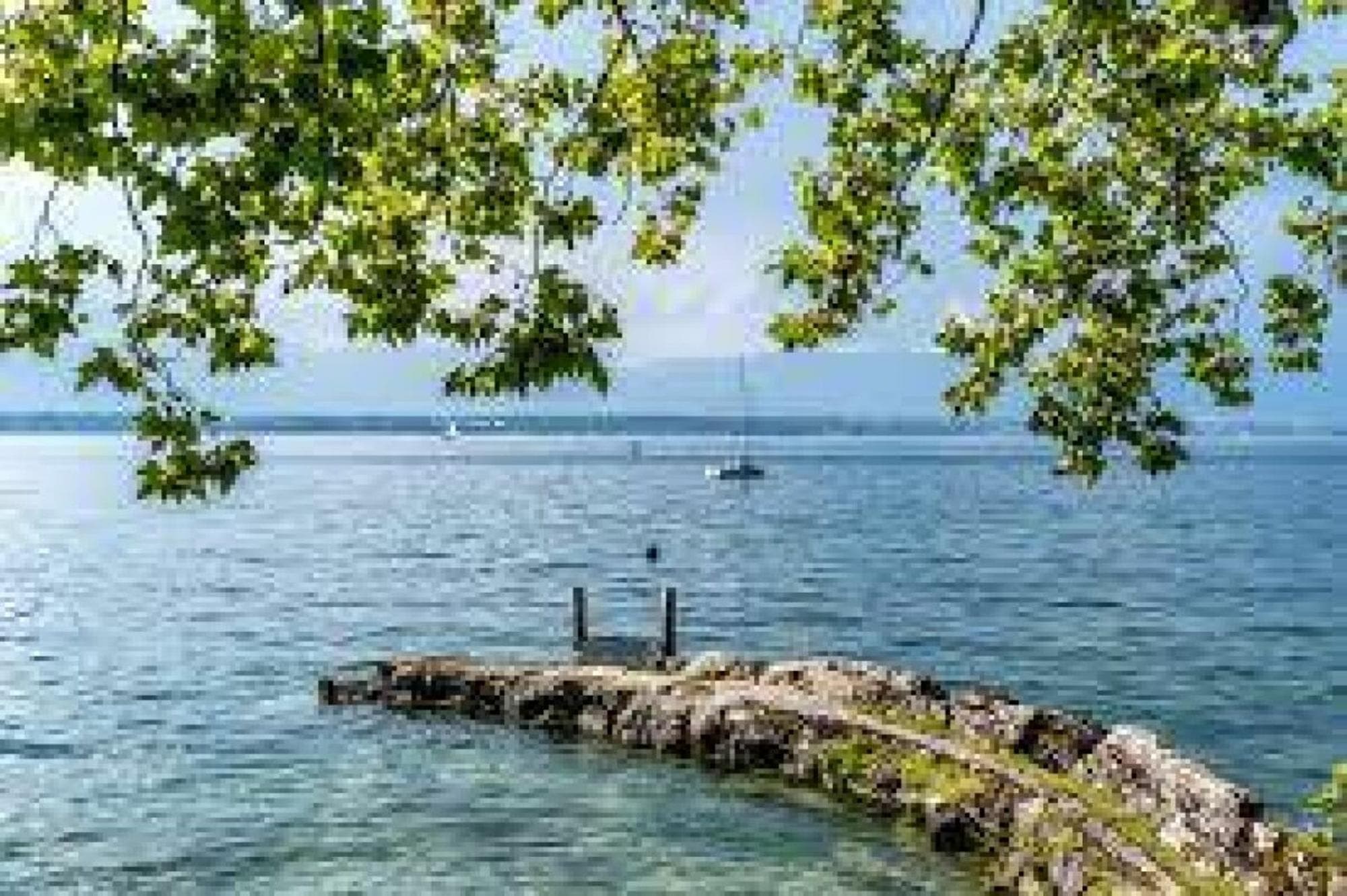 Villa individuelle 10 pièces à Anières