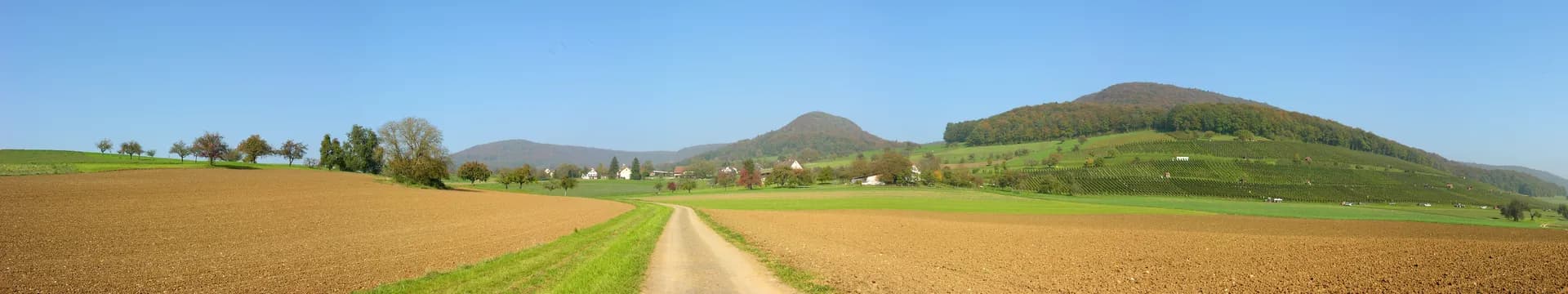 Siblingen