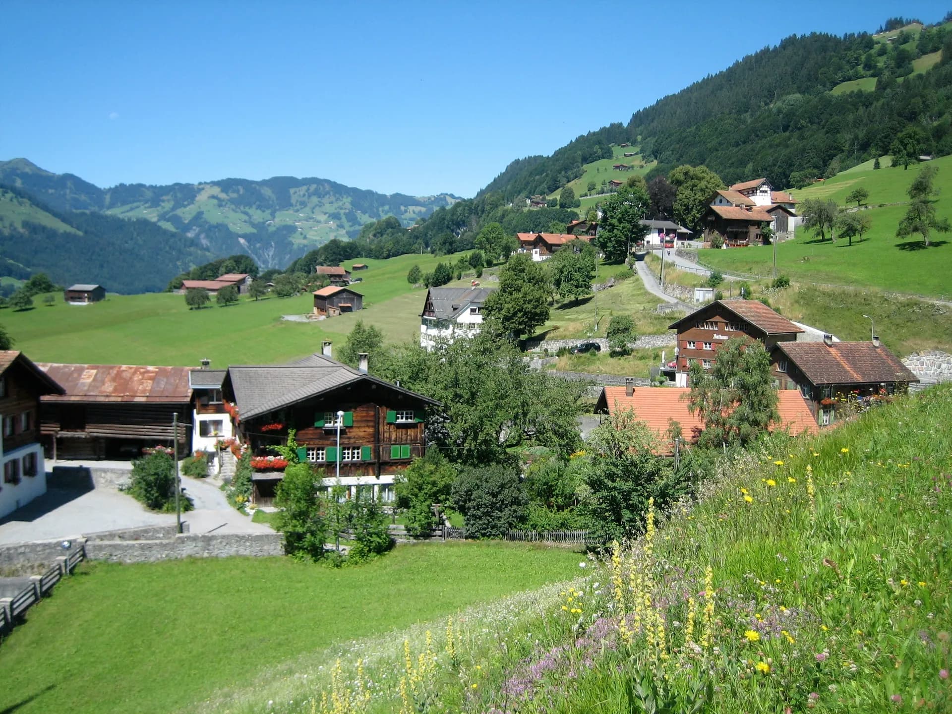 Buchen im Prättigau