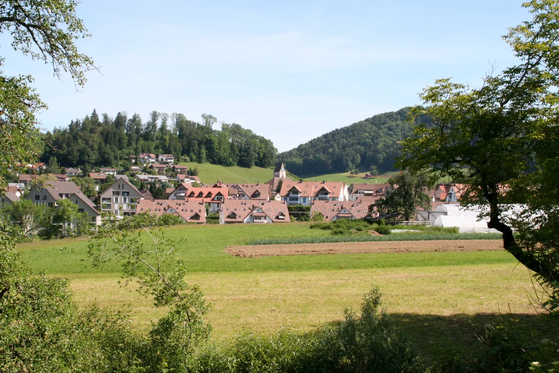Gibswil