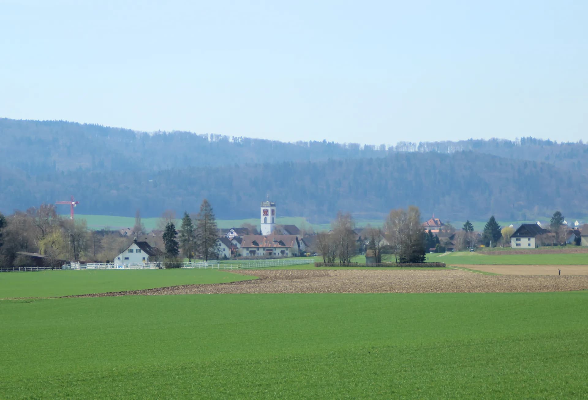 Hünikon (Neftenbach)