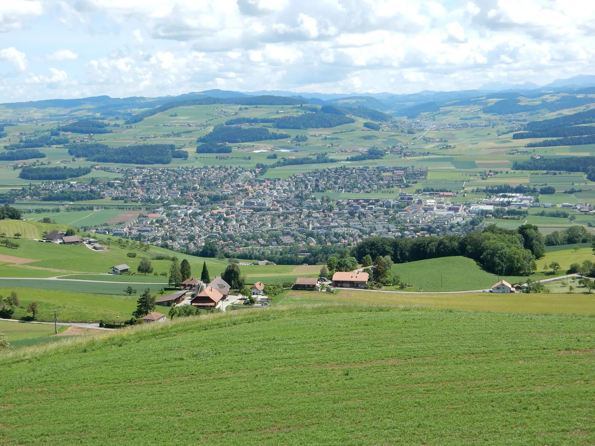 Münsingen