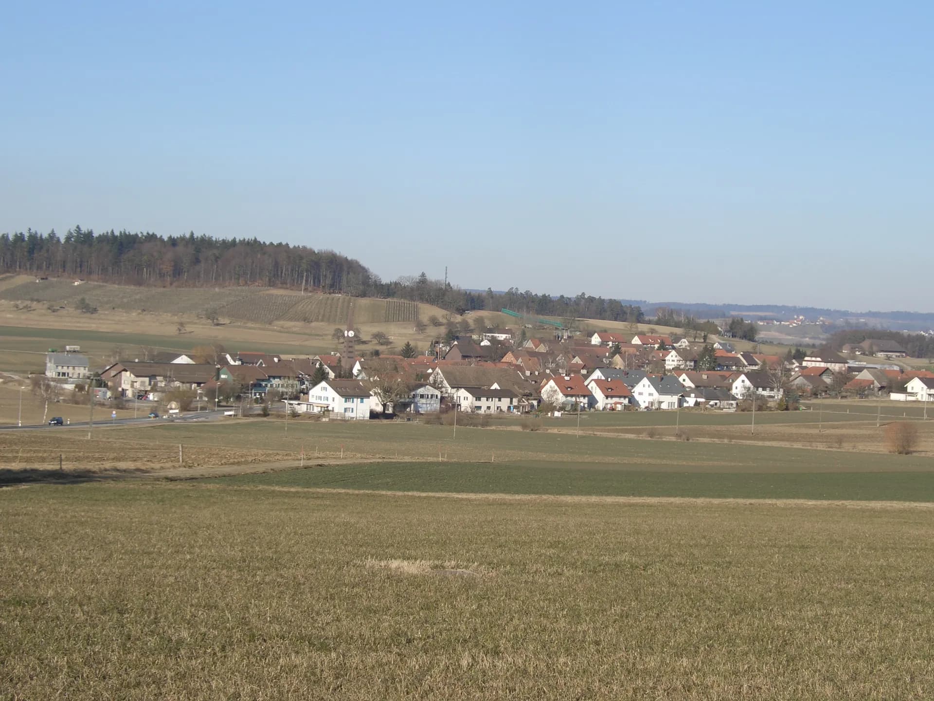 Rickenbach ZH