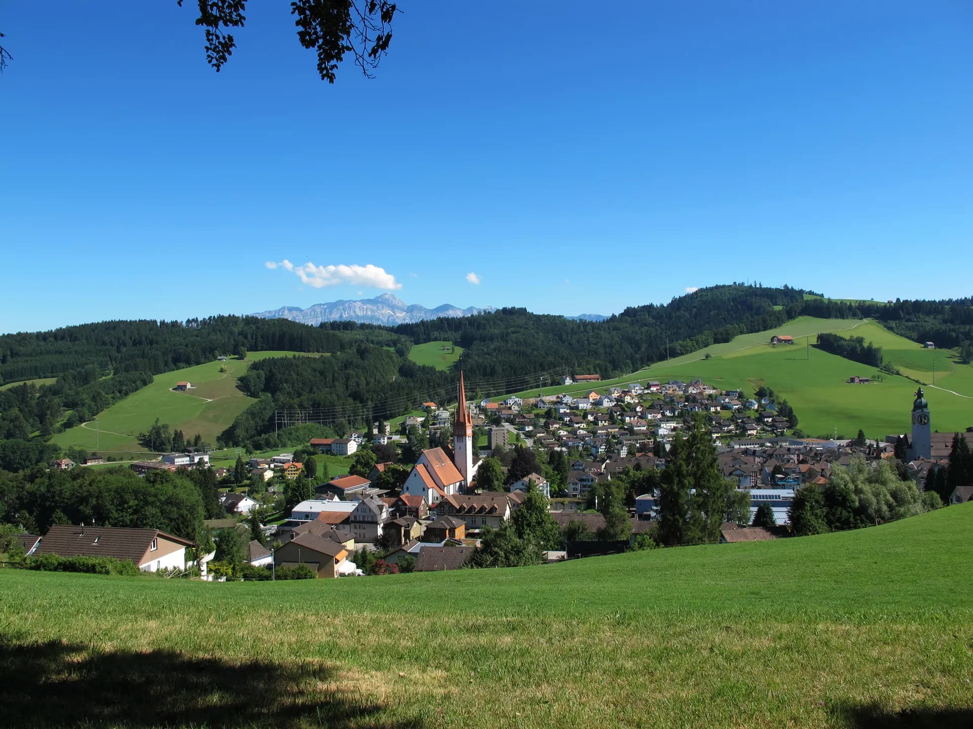 Wolfertswil