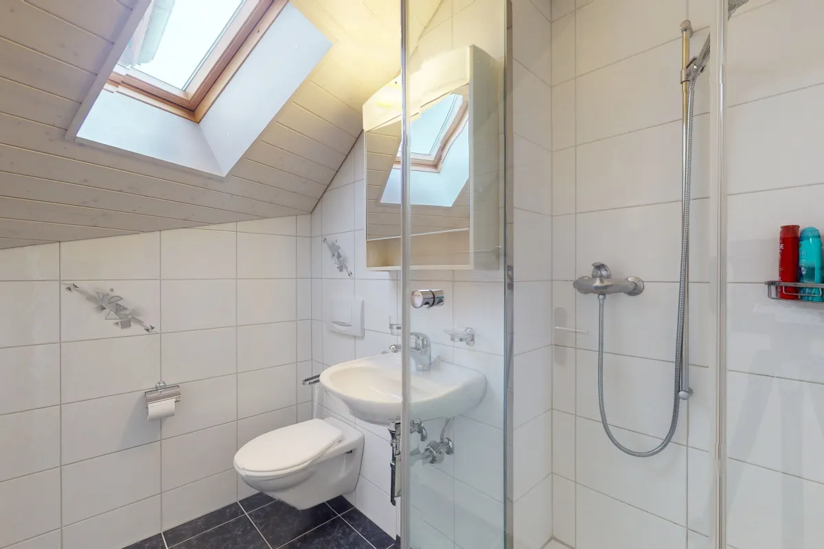 Dachwohnung mit fantastischer Bergsicht