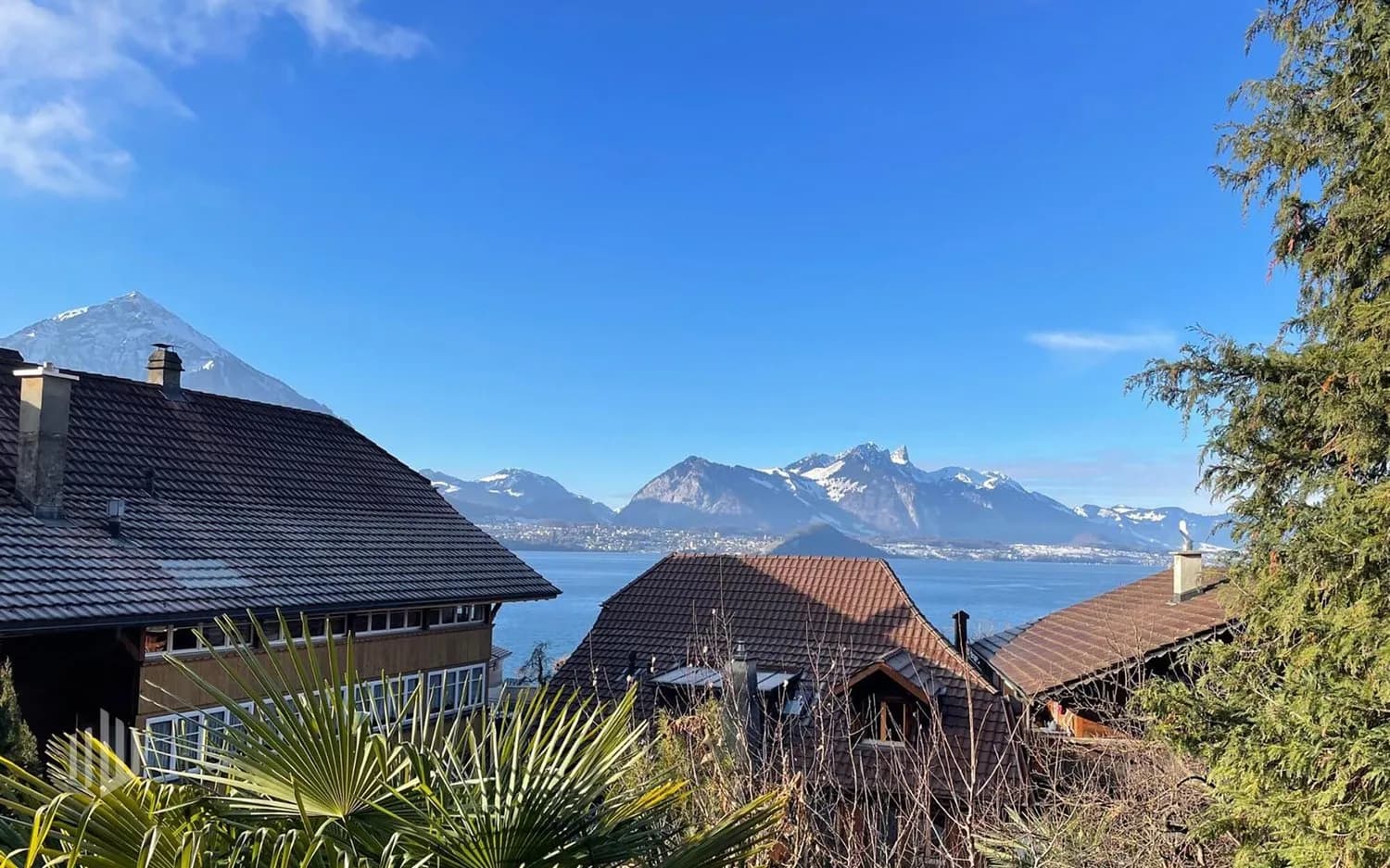 ImmoWyss -  Wohnen zwischen Gartenidylle und Seeufer am Thunersee