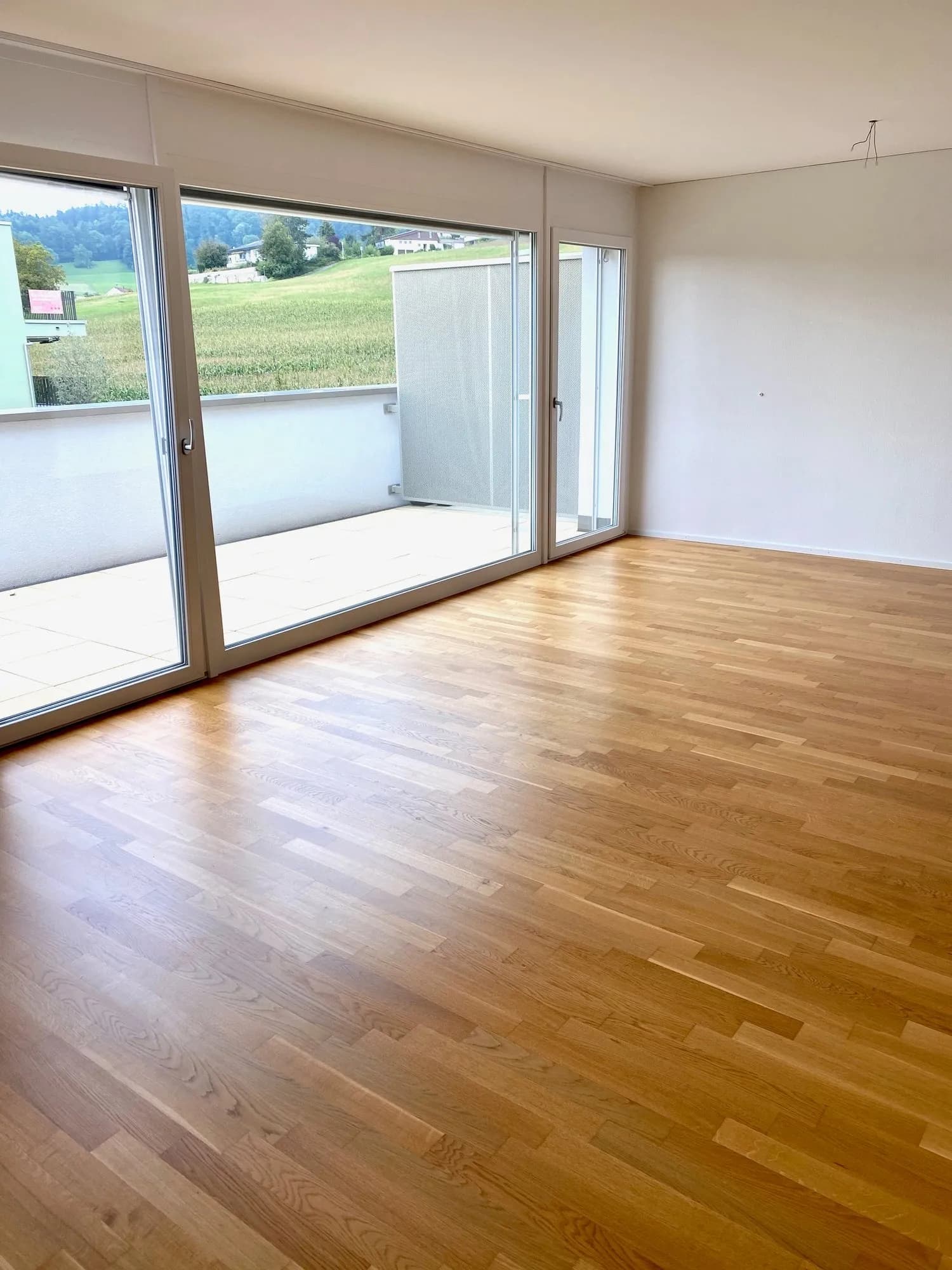 Grosszügige Wohnung im Grünen gesucht?