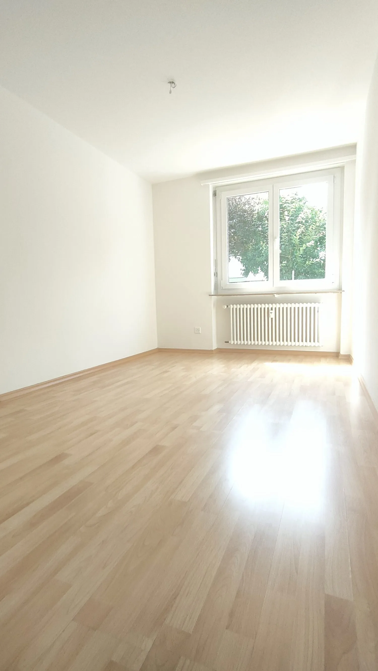 Meine Wohnung. Mein Paradies