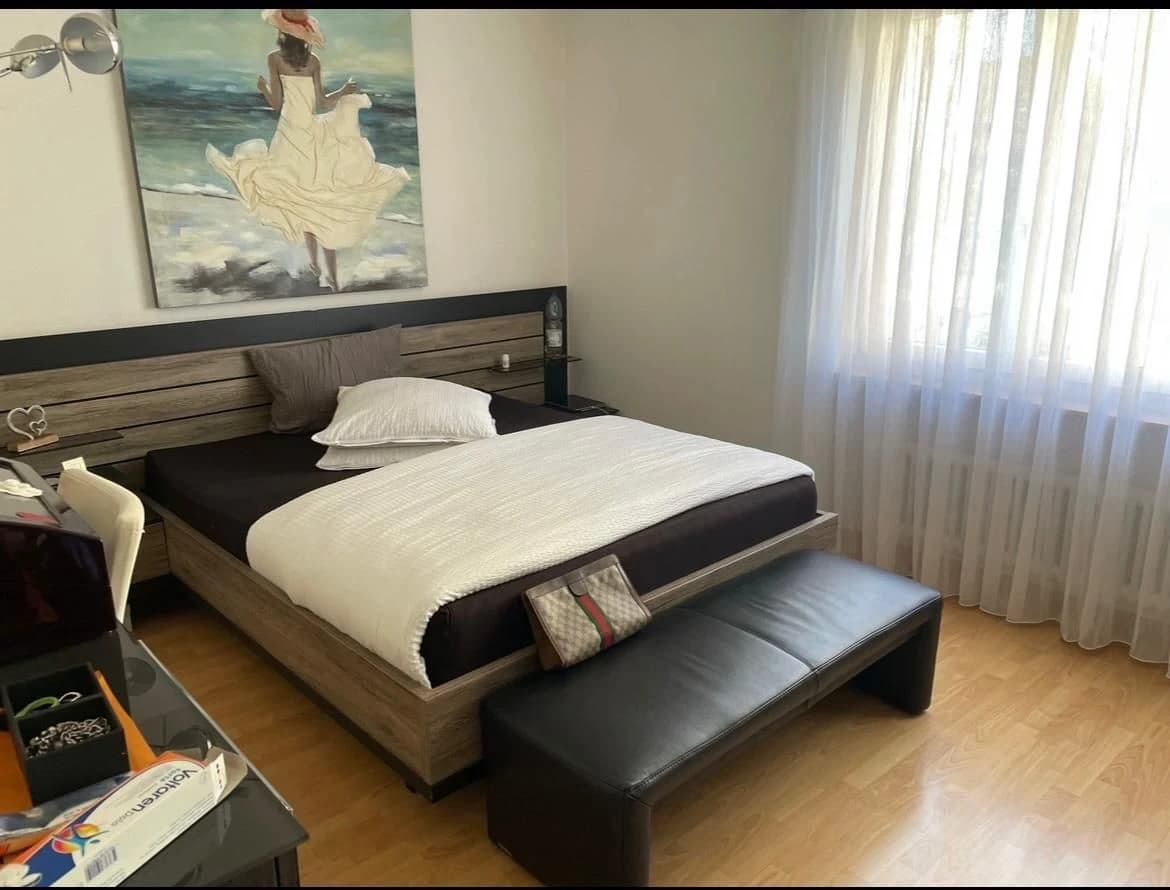 Helle 4.5-Zimmer-Wohnung mit Balkon in Winterthur