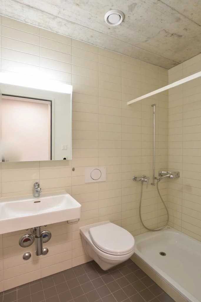 2.5-Zimmerwohnung mit grosser gemeinsamer Dachterrasse