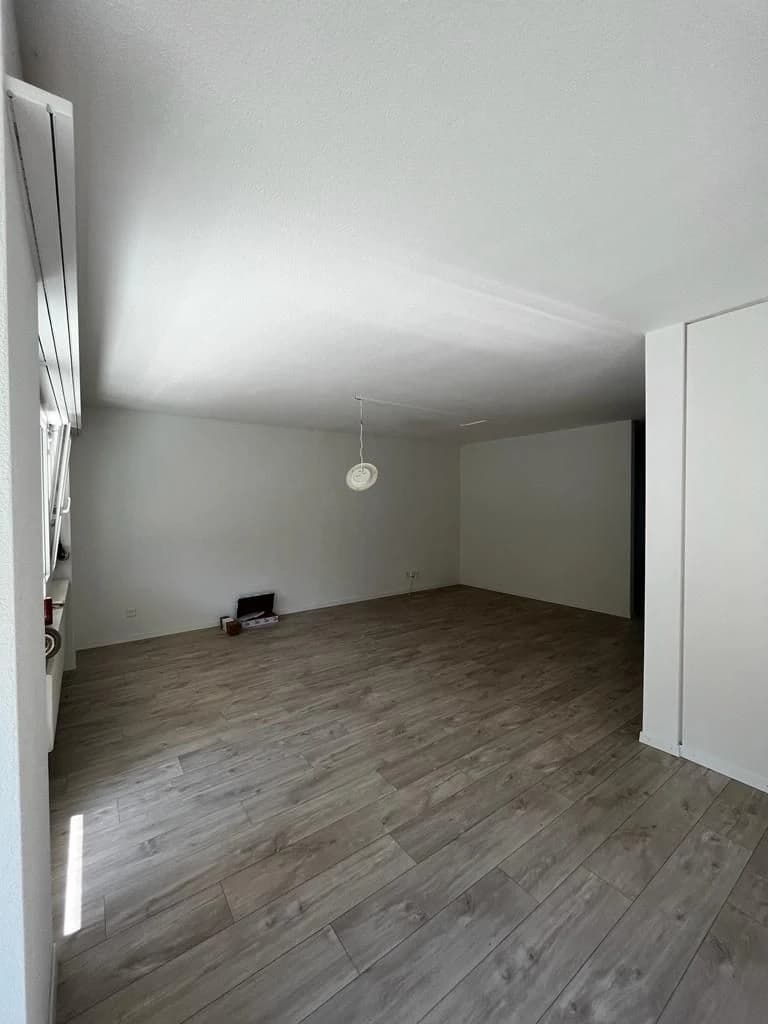 Renovierte 5.5 Zimmer Wohnung in Langenthal BE