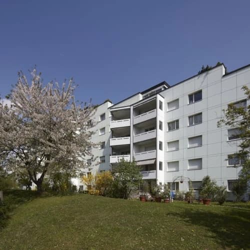 Anschauen lohnt sich!