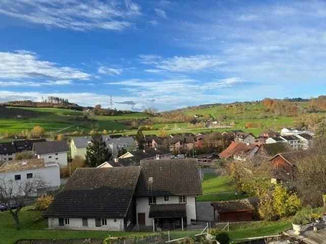 Moderne 3.5-Zimmer-Maisonette mit Parkplatzmöglichkeit, Birmensdorf