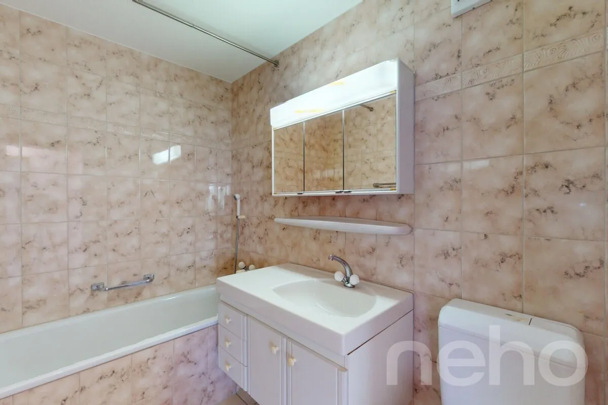 Helle 4.5-Zi.-Wohnung mit Aussicht, Cheminée und zwei Parkplätzen