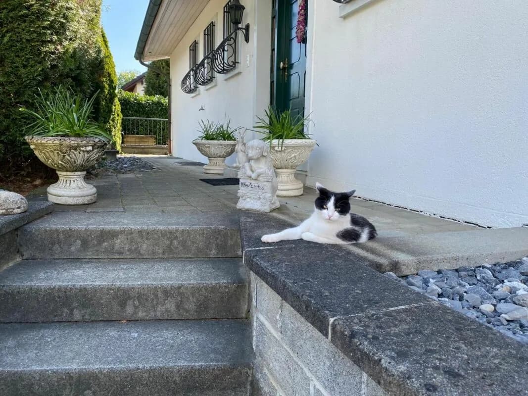 Einfamilienhaus mit grossem Garten
