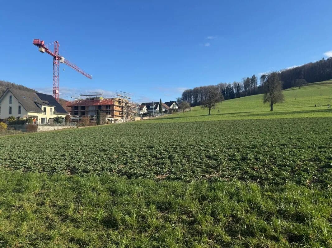 Natur pur: Zuhause mit unverbaubarer Aussicht