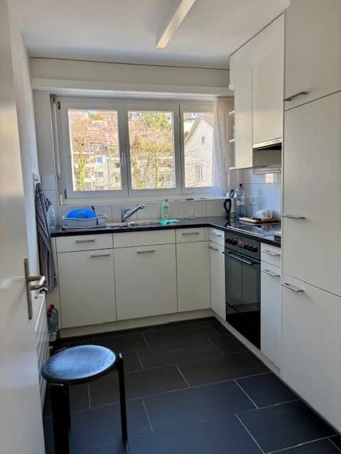 Grosszügige 1.5-Zimmerwohnung direkt an der Limmat