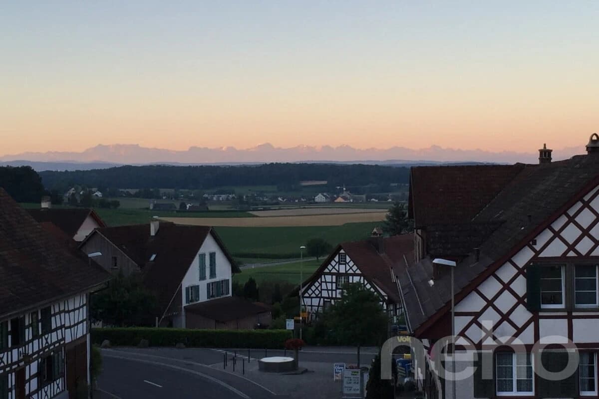 Charmantes Reihenmittelhaus mit Garten in Truttikon ZH