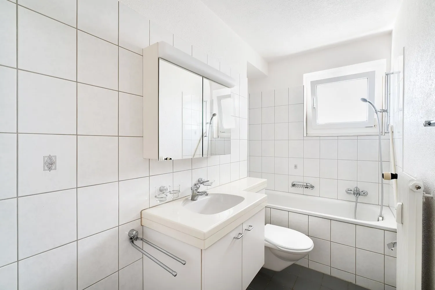 Gemütliche Wohnung nahe der Birs