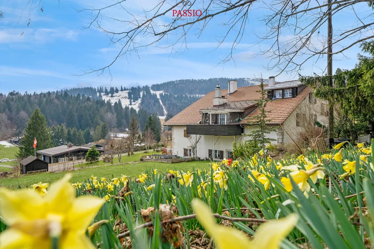 Charmante 4.5-Zimmer-Wohnung mit Cheminée und Alpenblick