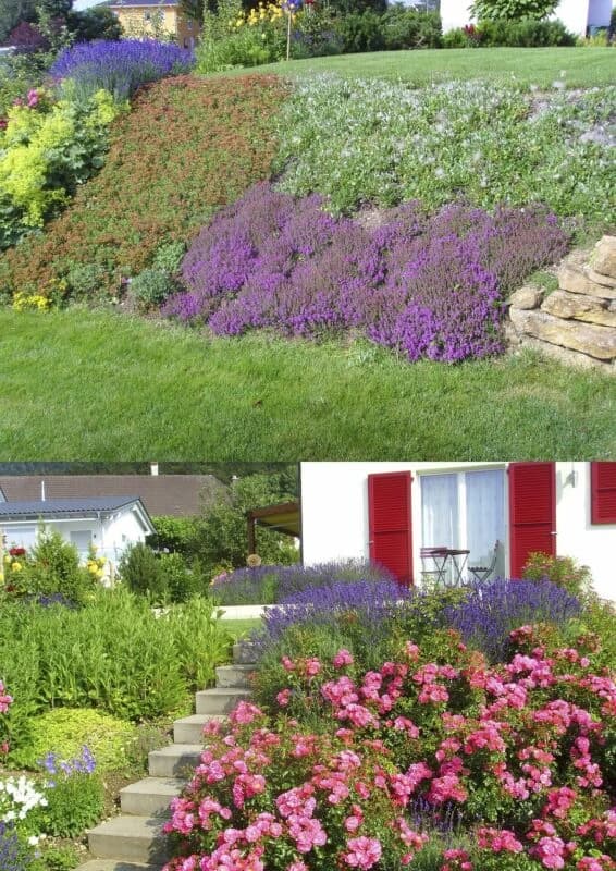 Einfamilienhaus mit separatem Eingang und Büro mit Toilette.