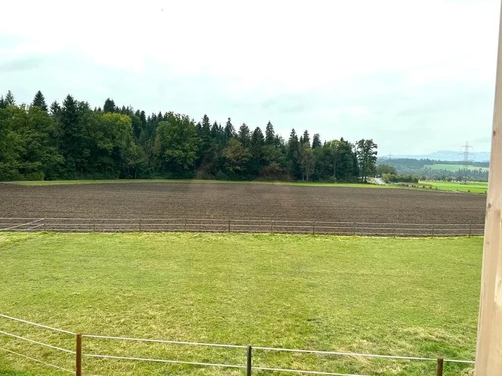 Moderne 3½-Zimmer-Wohnung in Oppligen zu vermieten