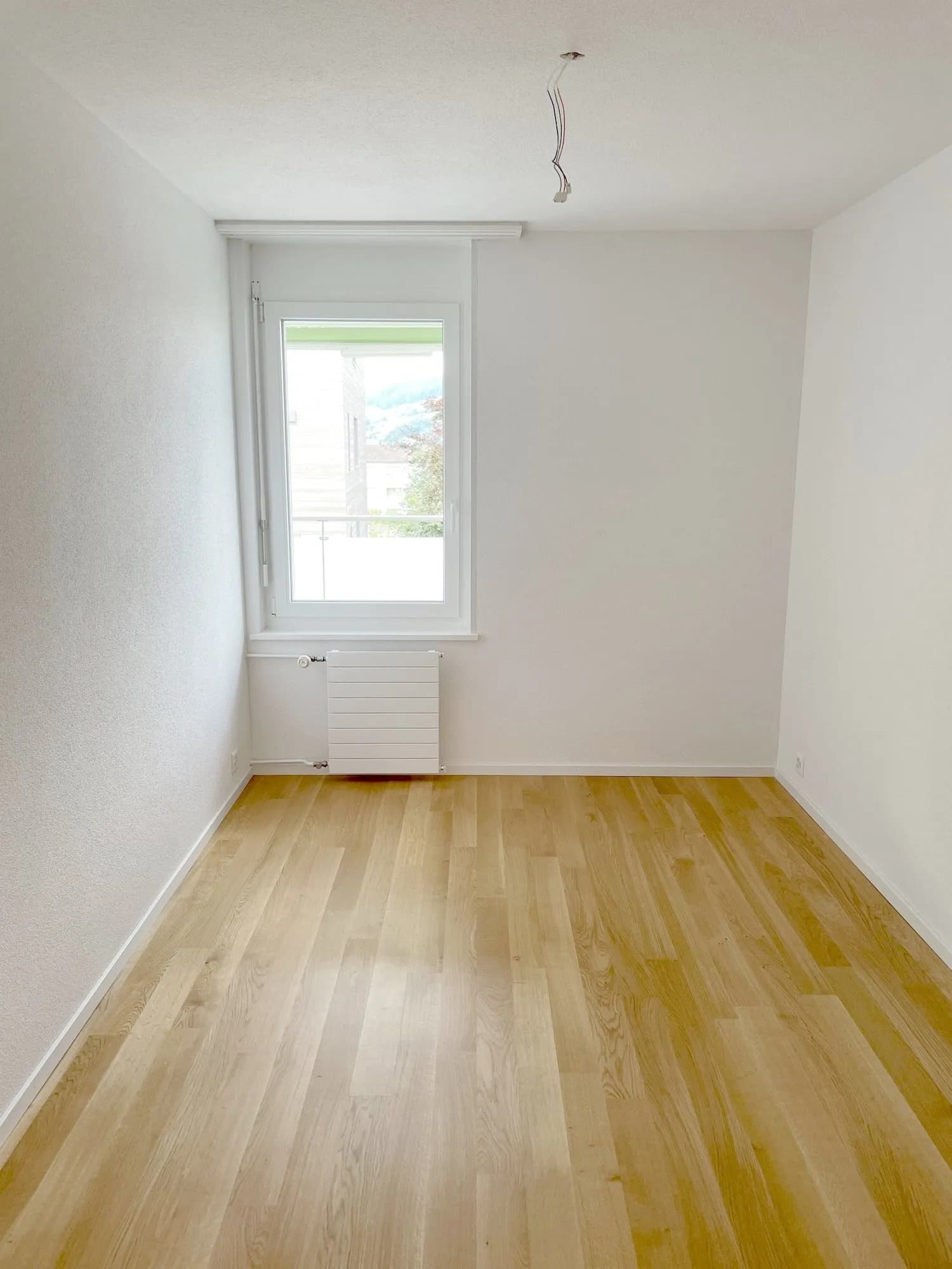 Ruhige Wohnlage Nähe Bireggwald