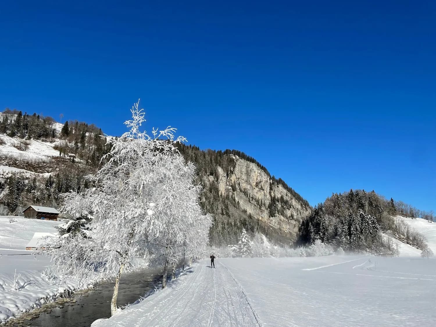 5.5-Zimmer EG-Wohnung mit grossem Garten in Euthal kaufen