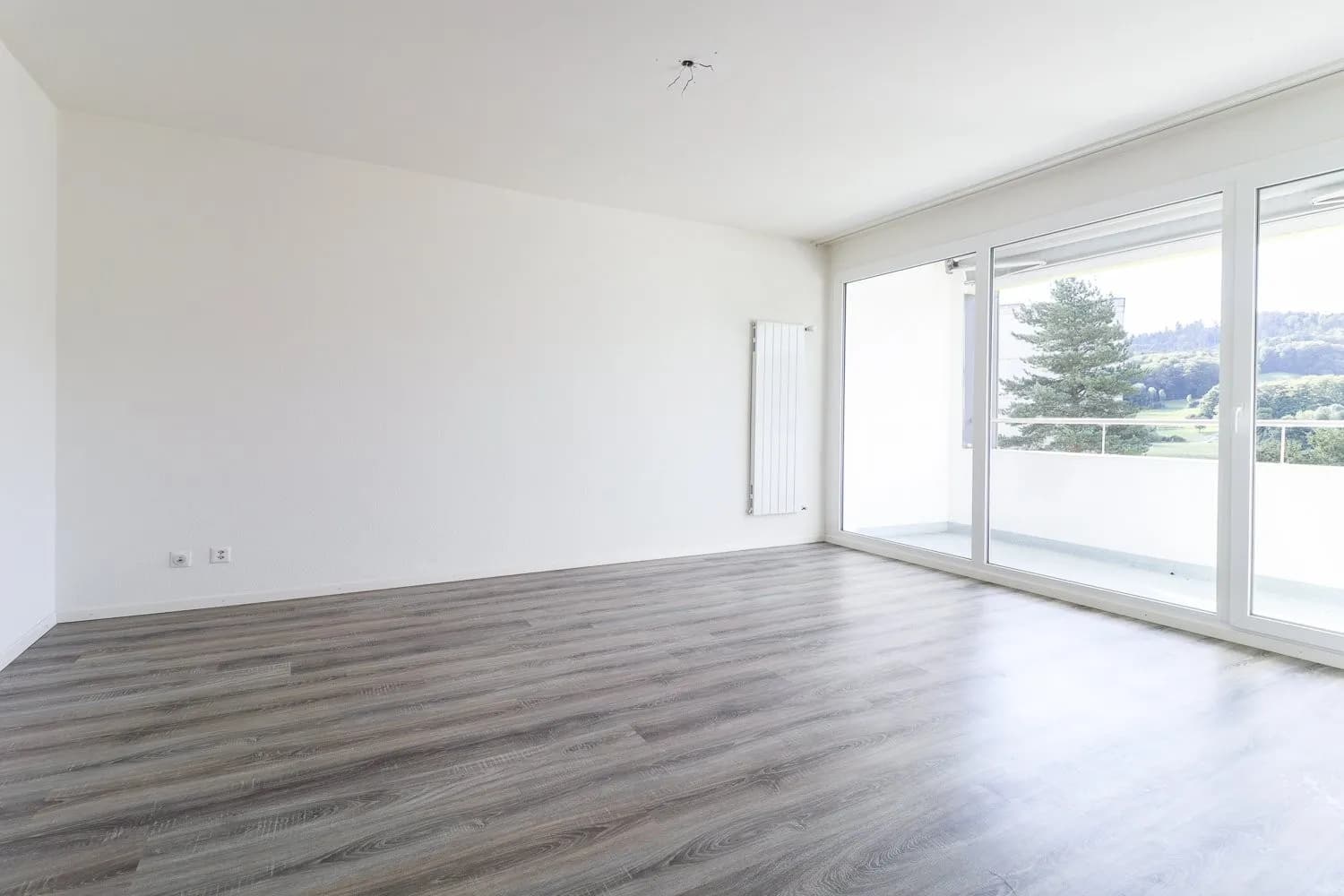 Schöner Ausblick auf die Aare