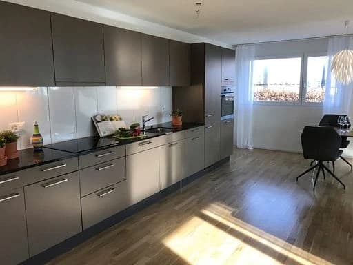 Ein Wohntraum - direkt an der Reuss!