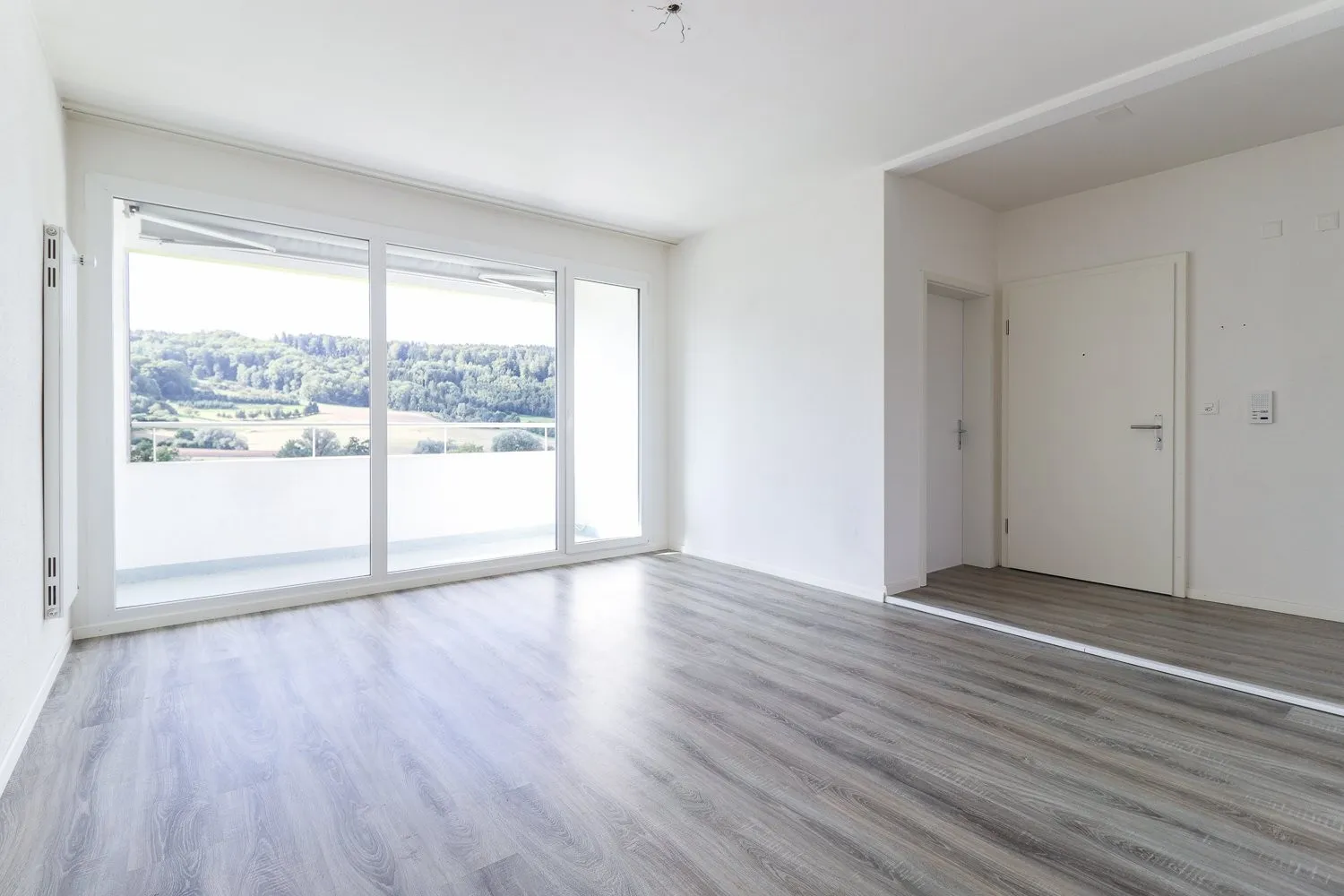 Schöner Ausblick auf die Aare