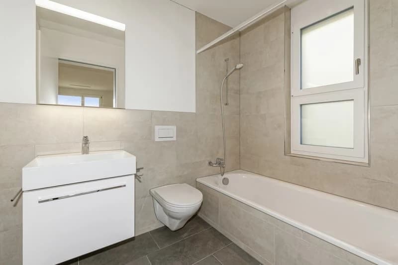 Neubauwohnung an traumhafter Lage direkt am Seeufer in Rapperswil-Jona