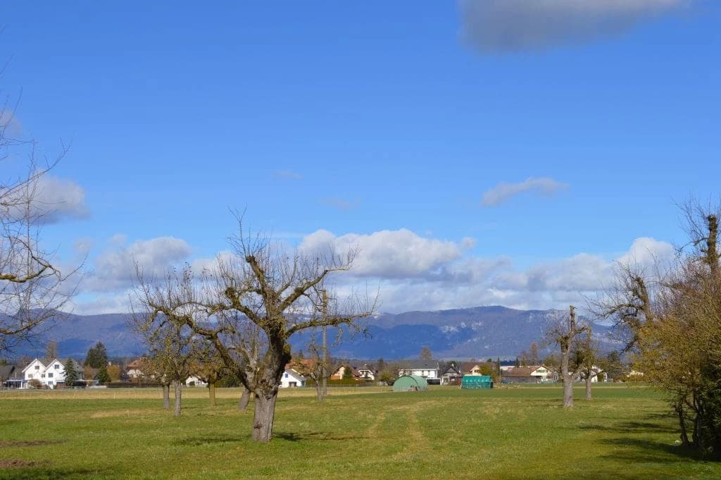 Helle 4½-Zimmer-Wohnung mit grossem Balkon in Utzenstorf kaufen