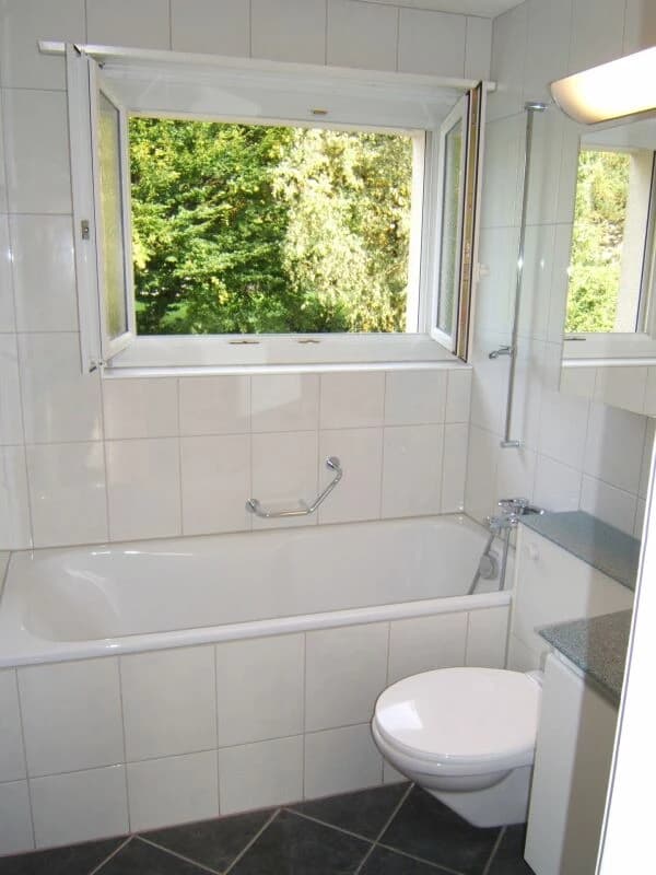 Grosszügige 3-Zimmer-Wohnung im Grünen