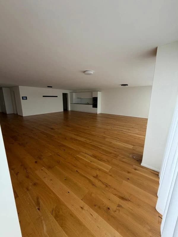 1.5-Zimmer-Loft an prominenter Lage in Reichenburg