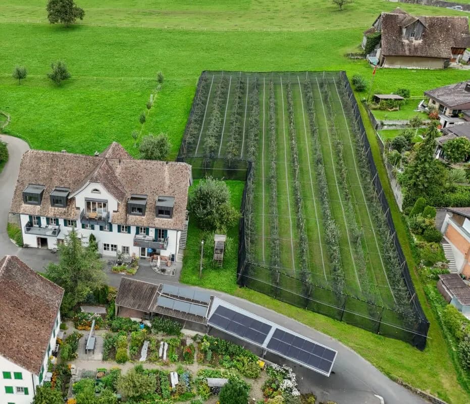 Stilvolle Dachmaisonette mit Sicht auf Mythen, See und ins saftige Grün