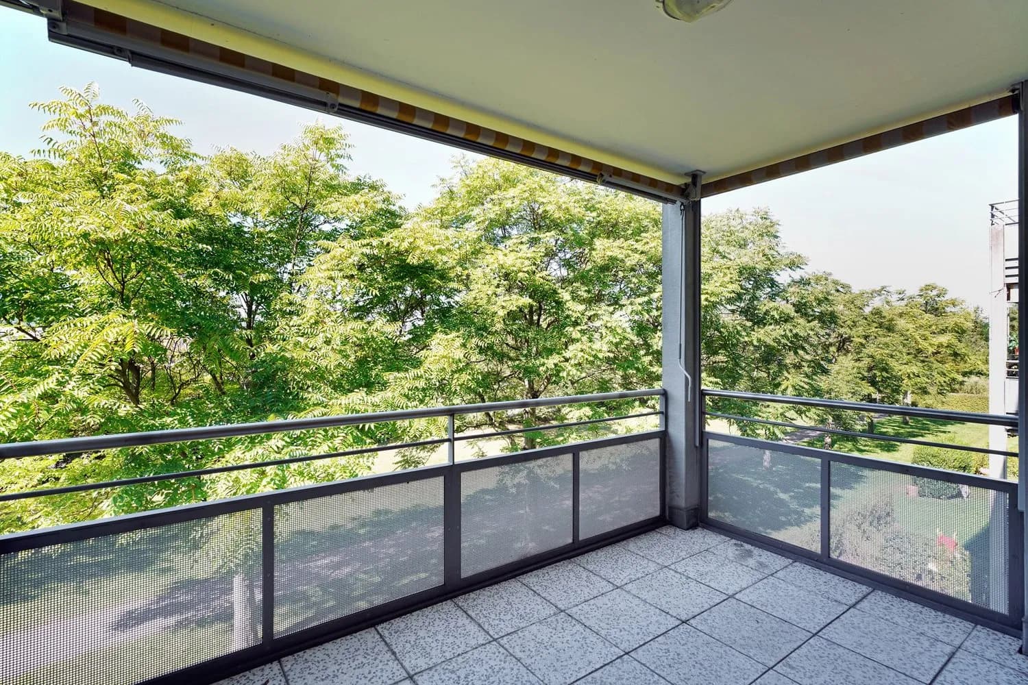 Im Sonnenpark - eine sonnige Angelegenheit!