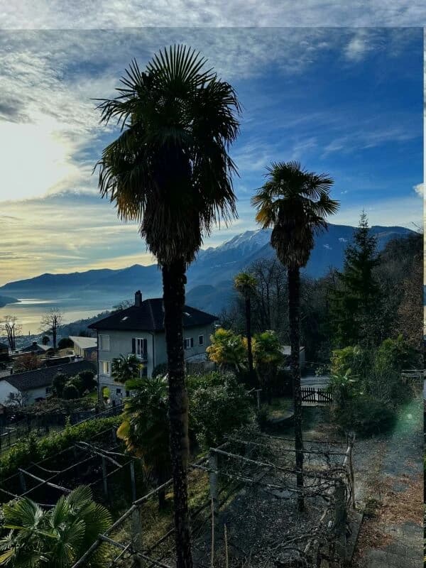 Porta al Paradiso - Locarno Monti - 5.5-Zimmer-Penthouse-Wohnung Attika (W14)