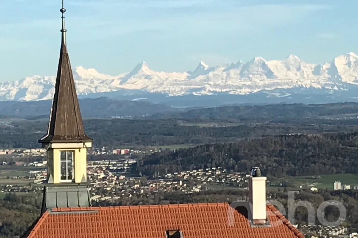 Grosszügige Attikawohnung mit Blick auf die Alpen