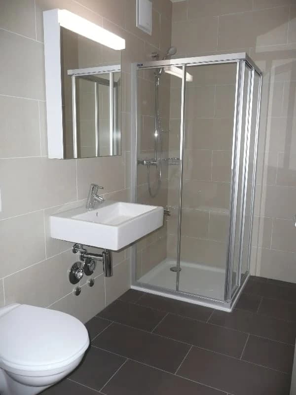 MIETEN OHNE KAUTION - Ruhig, sonnig & modern wohnen in Ebikon