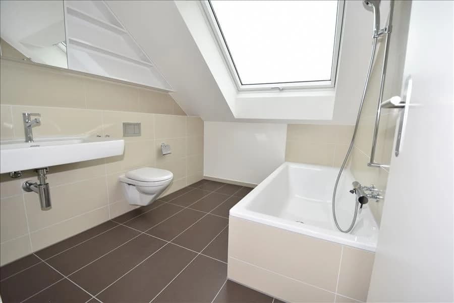 Über den Dächern von Basel