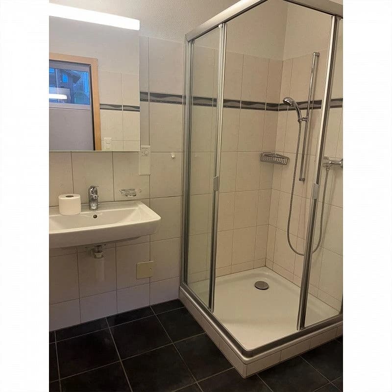 Charmante 3.5-Zimmer Wohnung in Disentis/Mustér