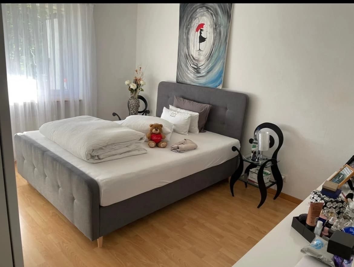 Helle 4.5-Zimmer-Wohnung mit Balkon in Winterthur