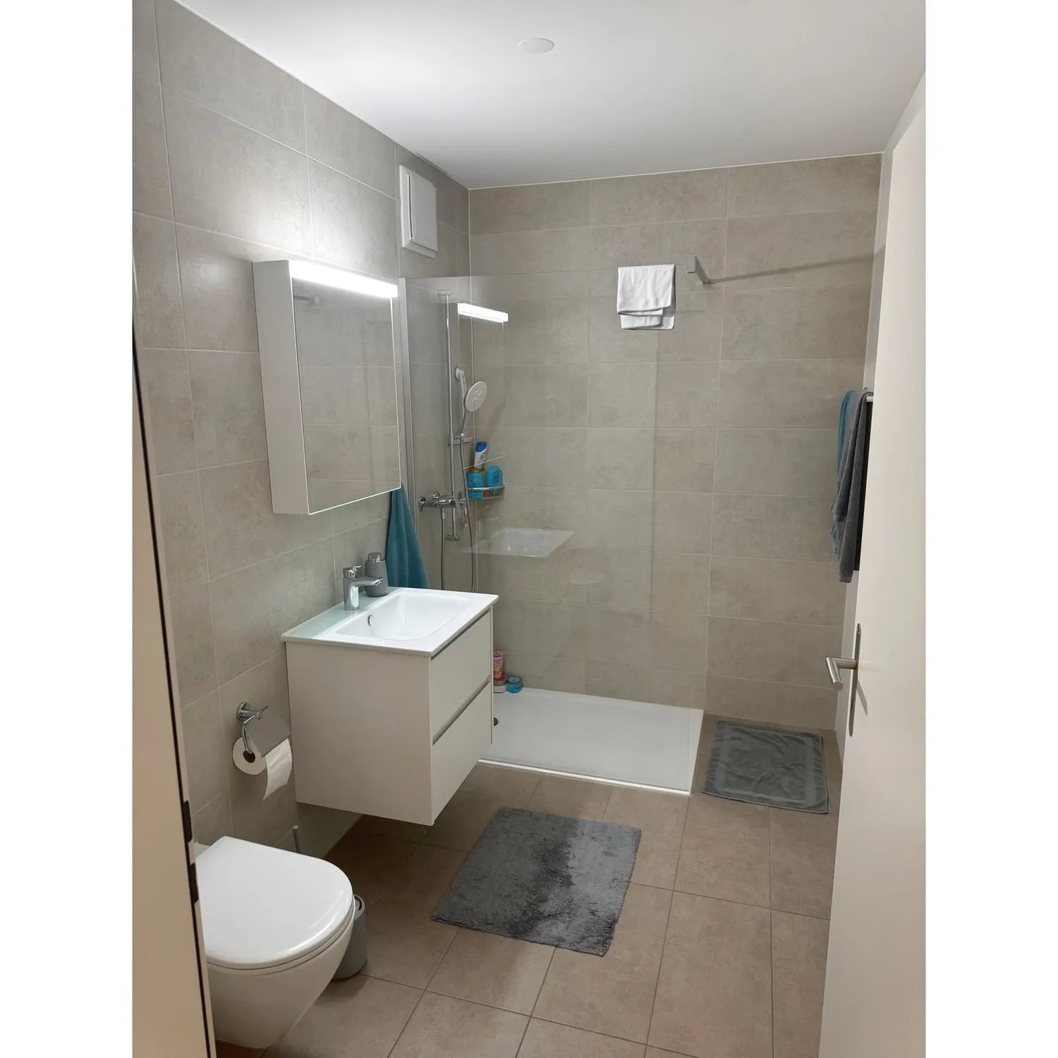 "Traumwohnung im Herzen von Biberist"