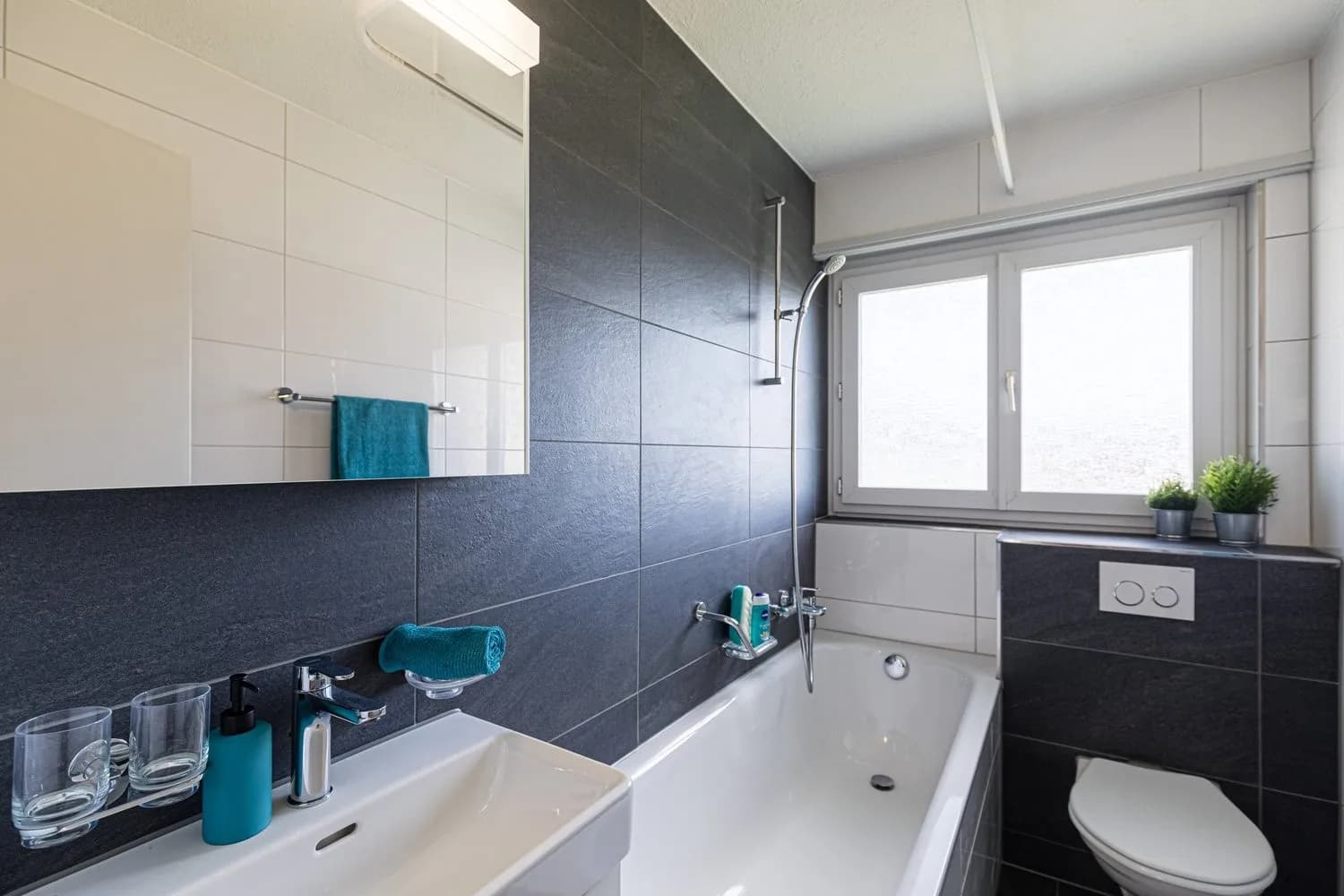 Willkommen im neuen Zuhause