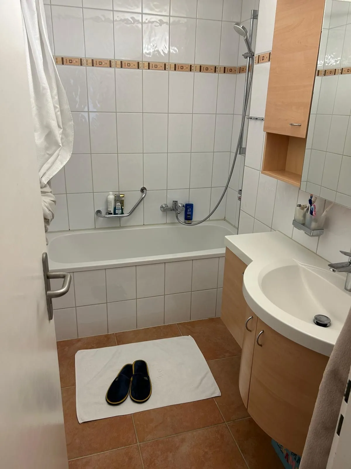 Helle 4.5-Zimmer-Wohnung mit Balkon in Winterthur