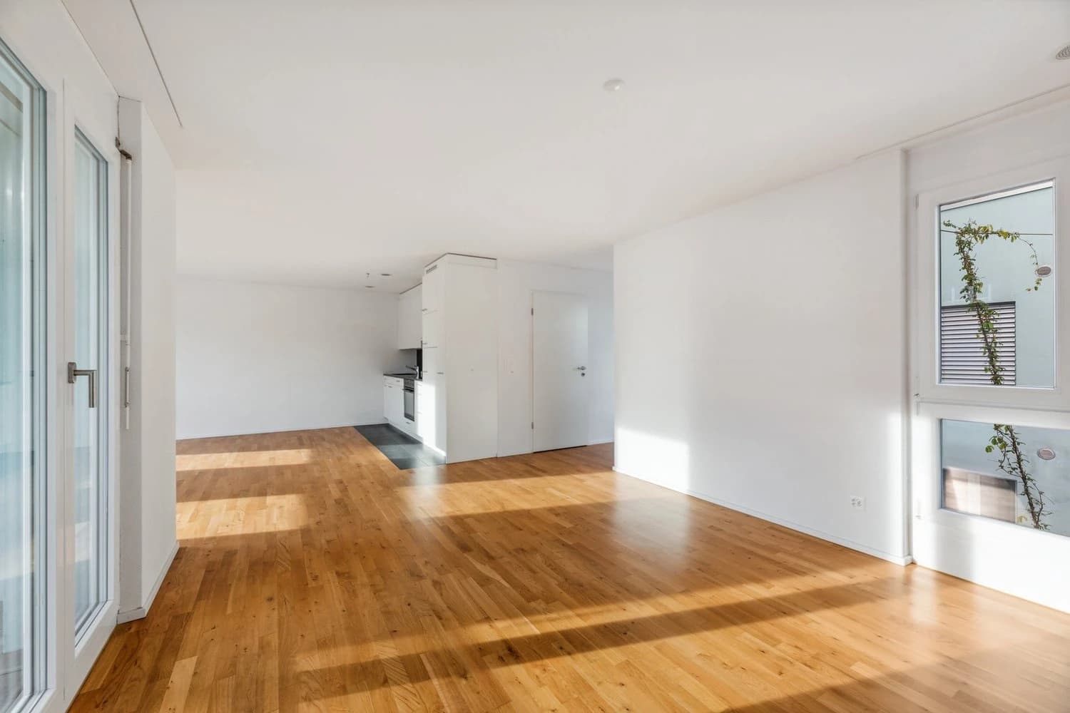 Lassen Sie Ihren Wohntraum wahrwerden!