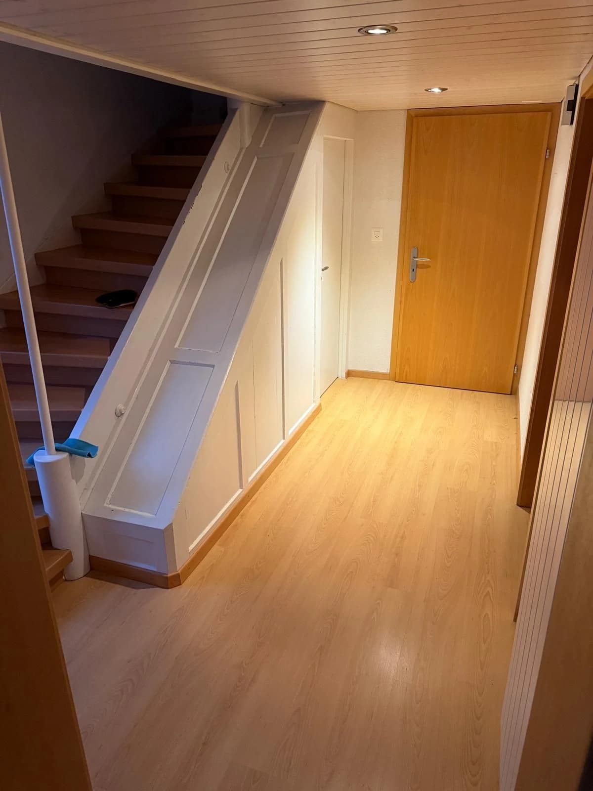 Charmantes 6.5-Zimmer-Einfamilienhaus mit grosszügigem Stauraum, Glarus Süd