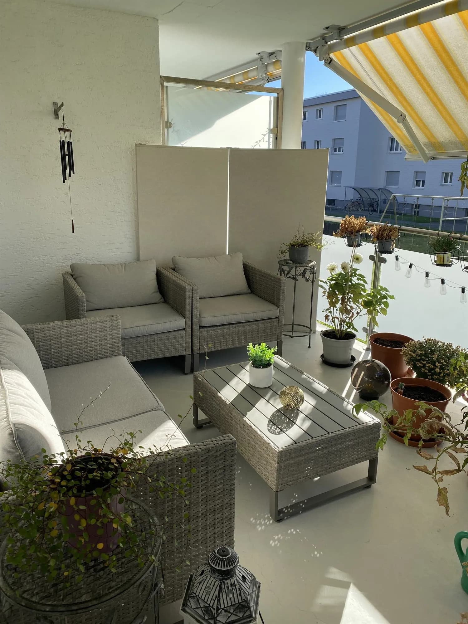 Singlewohnung in begrünter Wohnlage sucht Sie!